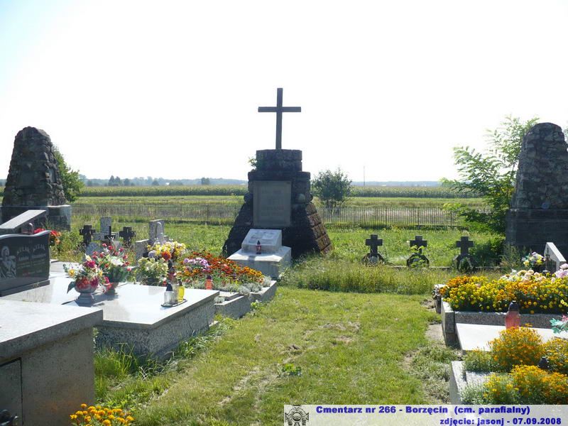 Cmentarz wojenny z I wojny nr 266 - Borzęcin (cm. parafialny)