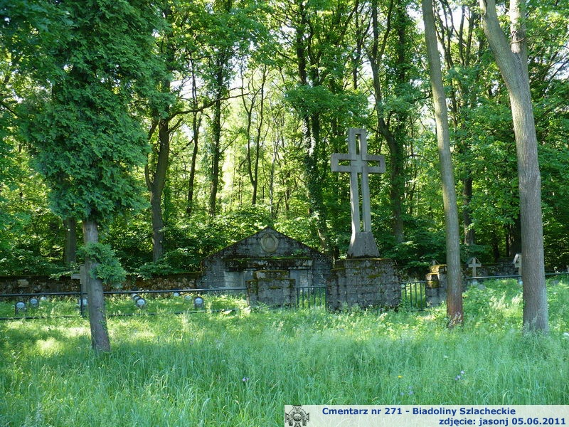 Cmentarz wojenny z I wojny nr 271 - Biadoliny Szlacheckie