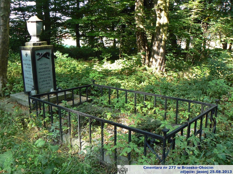 Cmentarz wojenny z I wojny nr 277 - Brzesko-Okocim