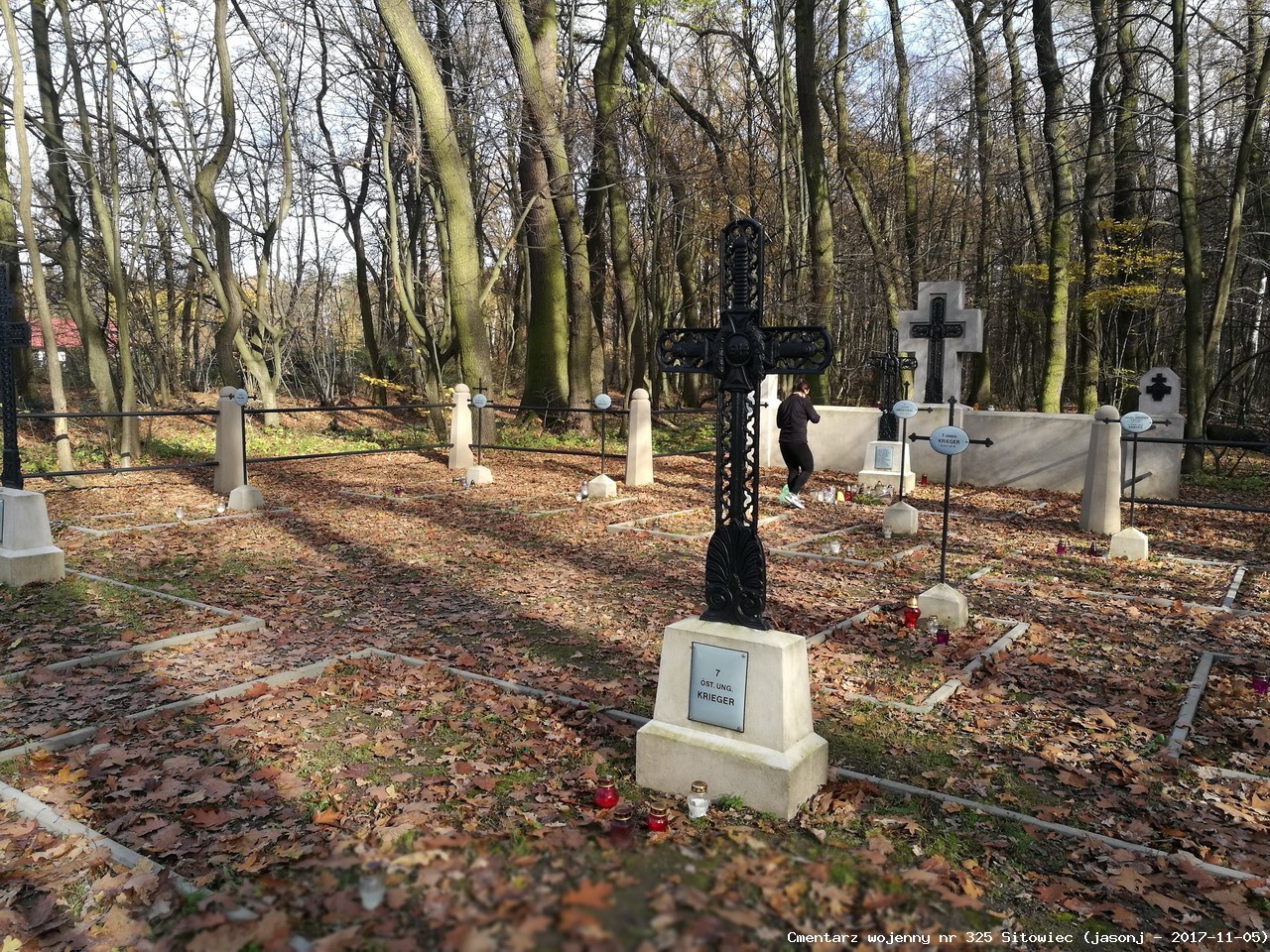 Cmentarz wojenny z I wojny nr 325 - Niepołomice - Sitowiec